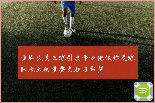黄蜂交易三球引发争议他依然是球队未来的重要支柱与希望