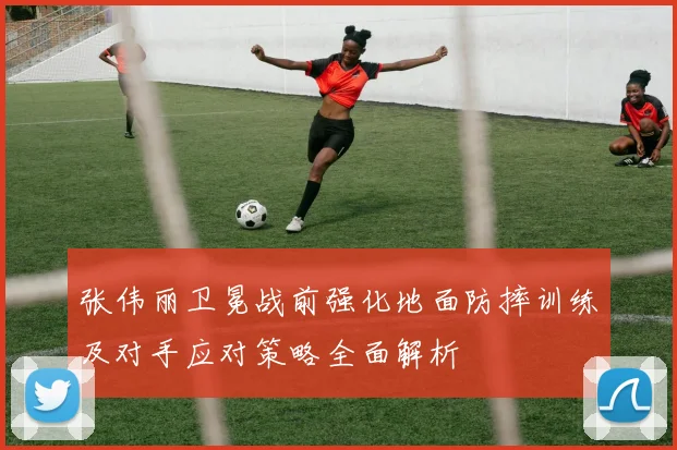 张伟丽卫冕战前强化地面防摔训练及对手应对策略全面解析